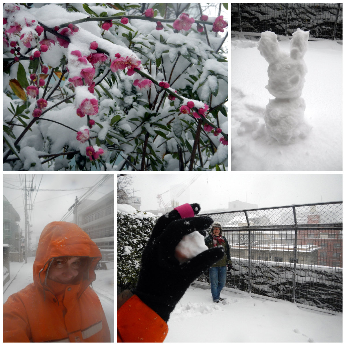 https://mt.mediatinker.com/blog/2014-02-08-snowday.jpg