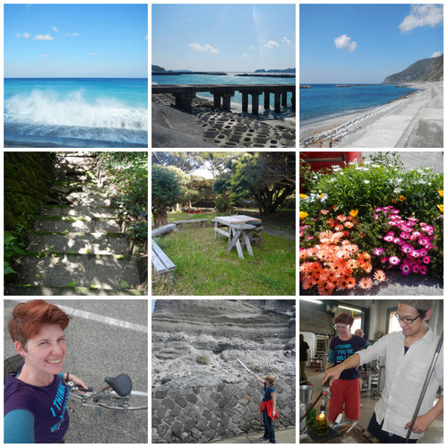 2014-04-niijima-collage.jpg