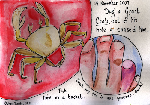 us07-crab-toe.jpg