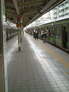mejiro.jpg